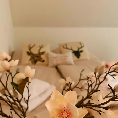 Romantisches Wellness Im Steirischen Ursprung *