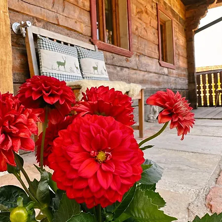 Chalet Romantisches Wellness Im Steirischen Ursprung